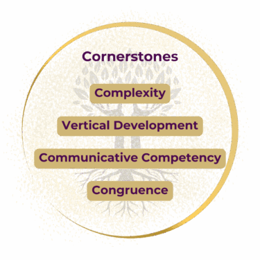Cornerstones of the Vertical Development Leadership Cohort Thecornerstones of the Vertical Development Leadership Cohort are Complexity, Vertical Development, Communicative Competency and Congruence